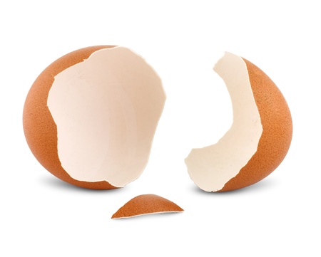 Understanding the Eggshell Plaintiff Rule