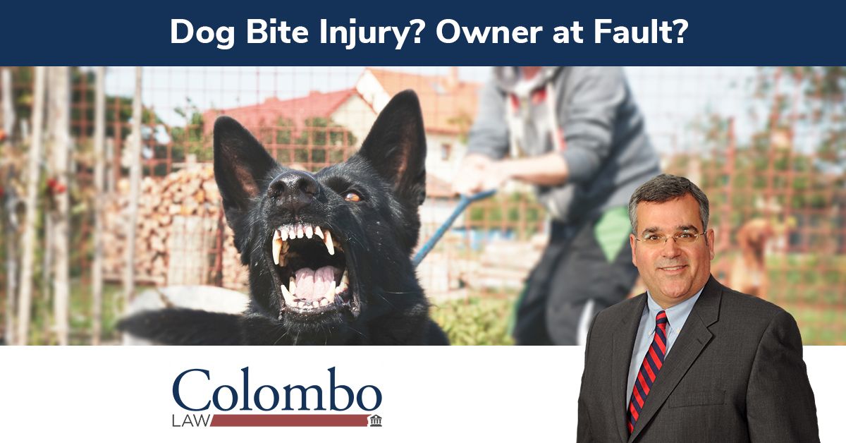 Dog Bite Injury Lawyers Animal Attack Injury Attorney