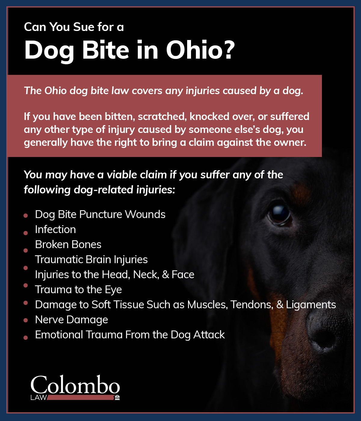 Can I Sue For A Dog Bite In Ohio